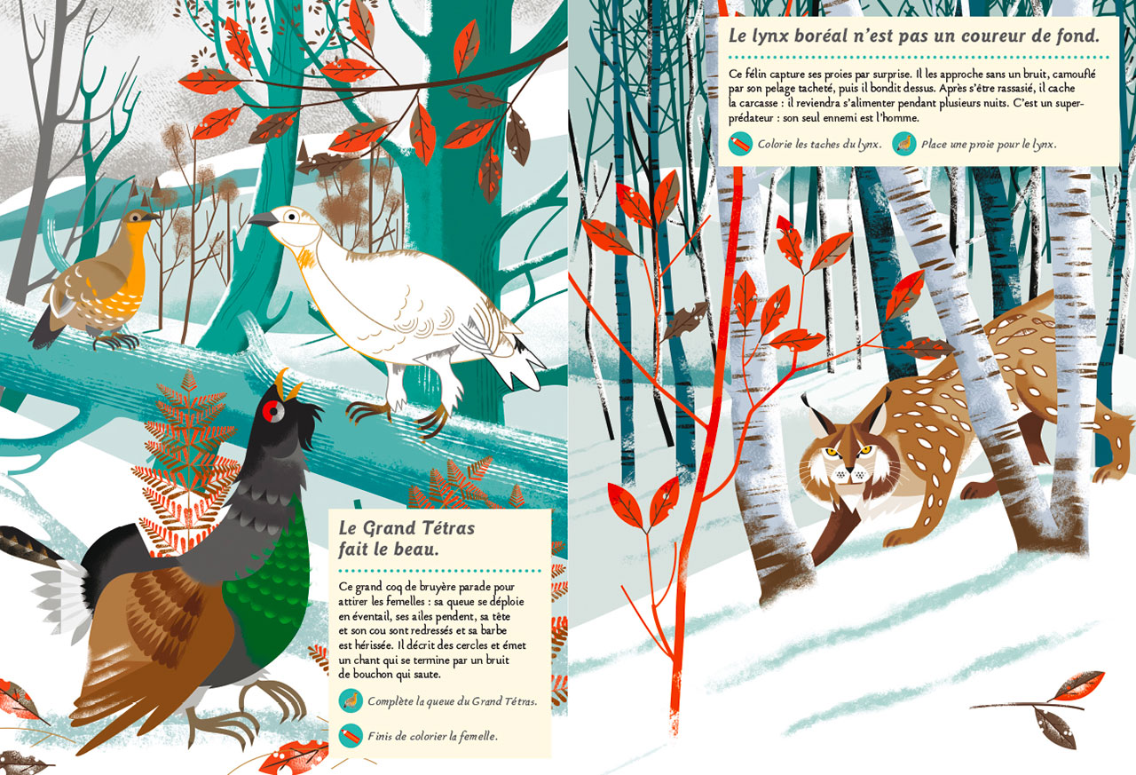 Jeux_et_activitEs_les_animaux_de_la_montagne_1