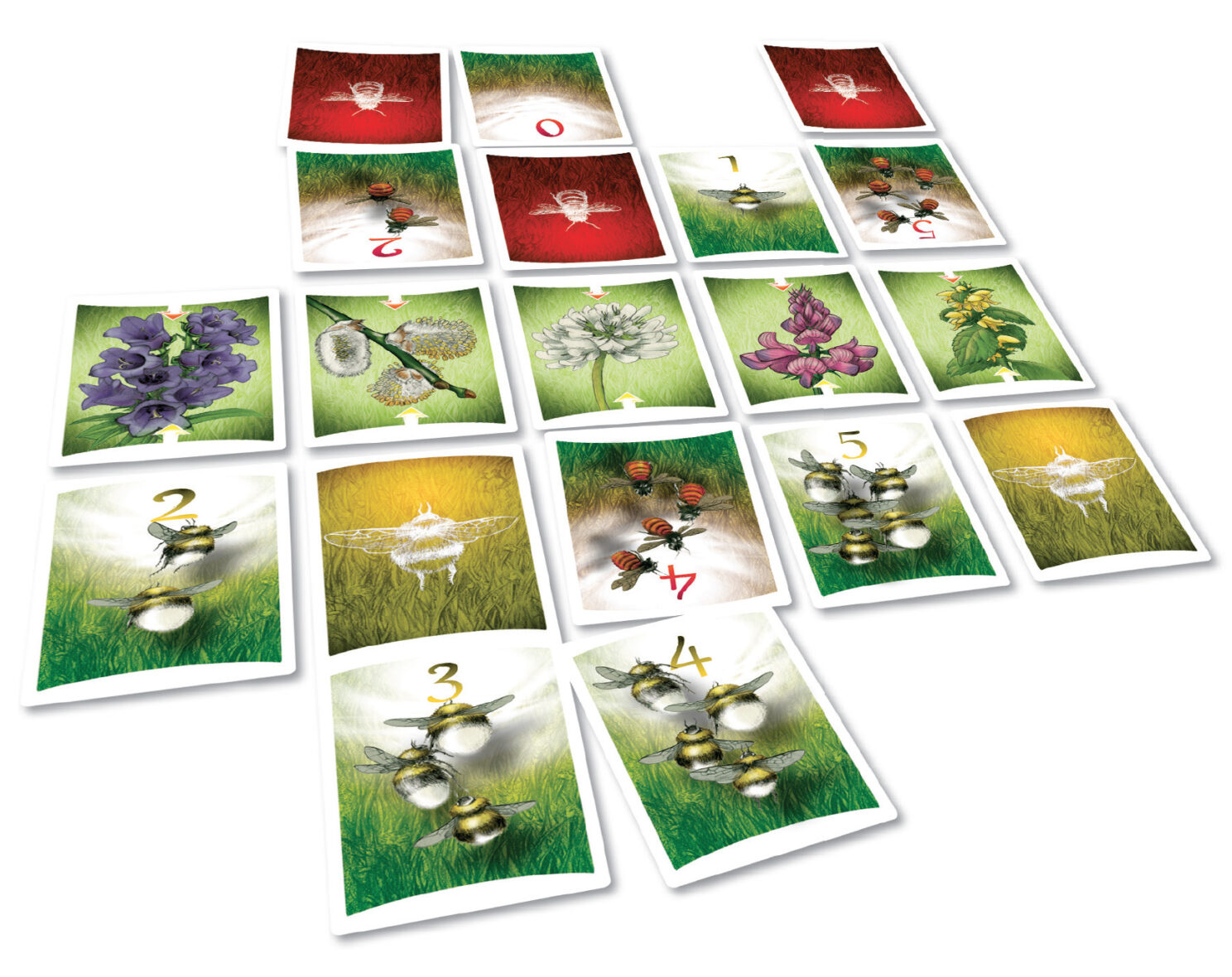 Pollen-éclaté-cartes