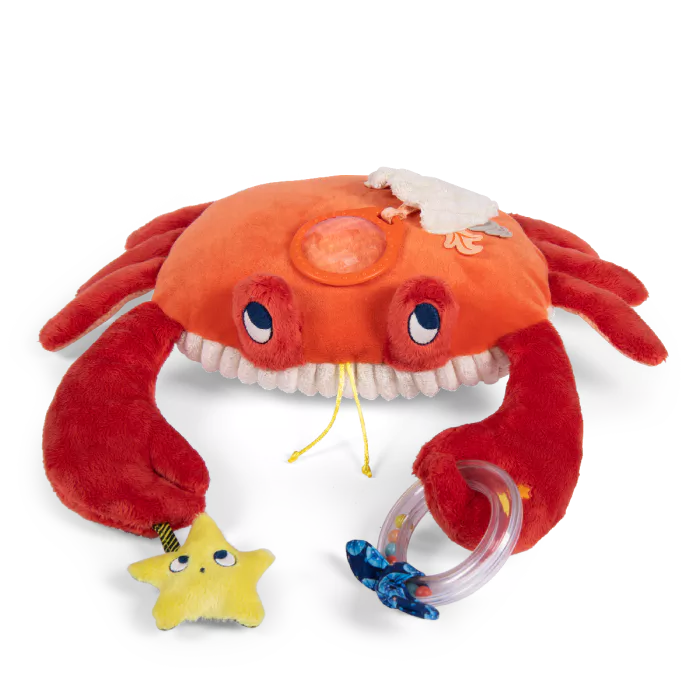 Grand crabe d’activités – Les aventures de Paulie