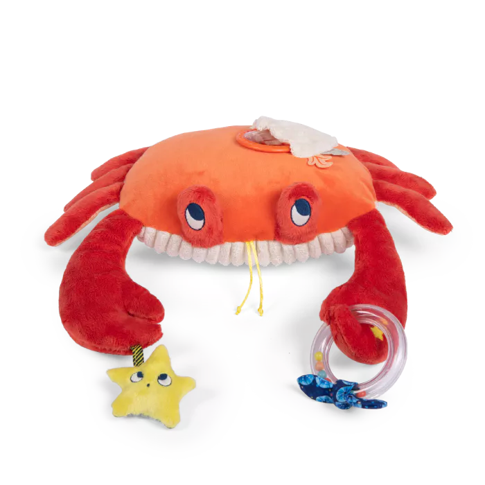Jouet_d_activites_Grand_crabe_Les_aventures_de_Paulie_Moulin_Roty_1