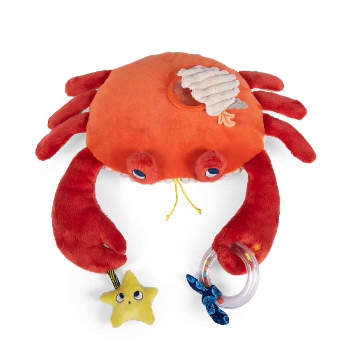 Jouet_d_activites_Grand_crabe_Les_aventures_de_Paulie_Moulin_Roty_5