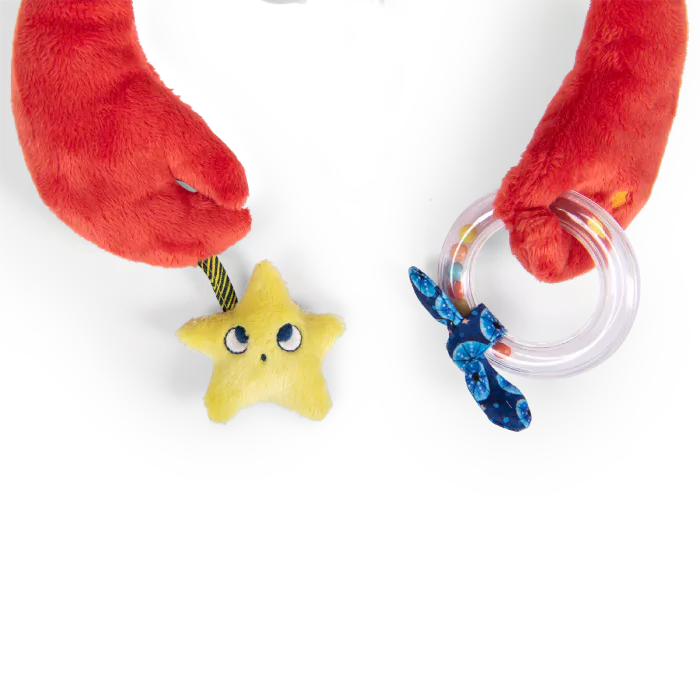 Jouet_d_activites_Grand_crabe_Les_aventures_de_Paulie_Moulin_Roty_6