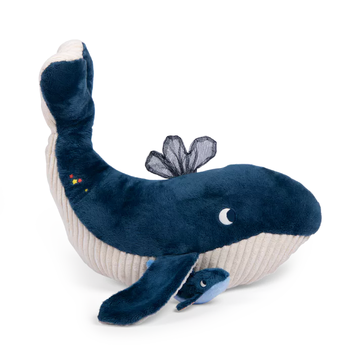Grande baleine d’activités – Les aventures de Paulie