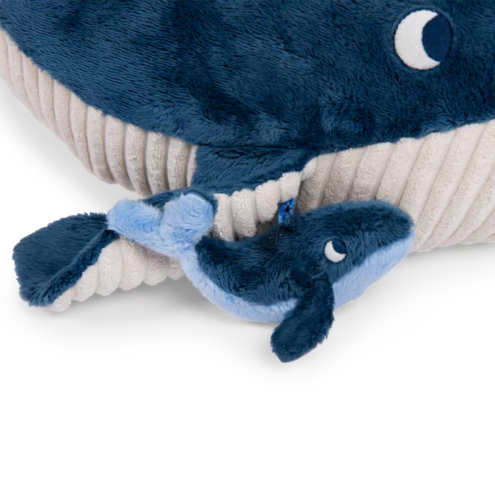 Jouet_d_activites_Grande_baleine_Les_aventures_de_Paulie_Moulin_Roty_6