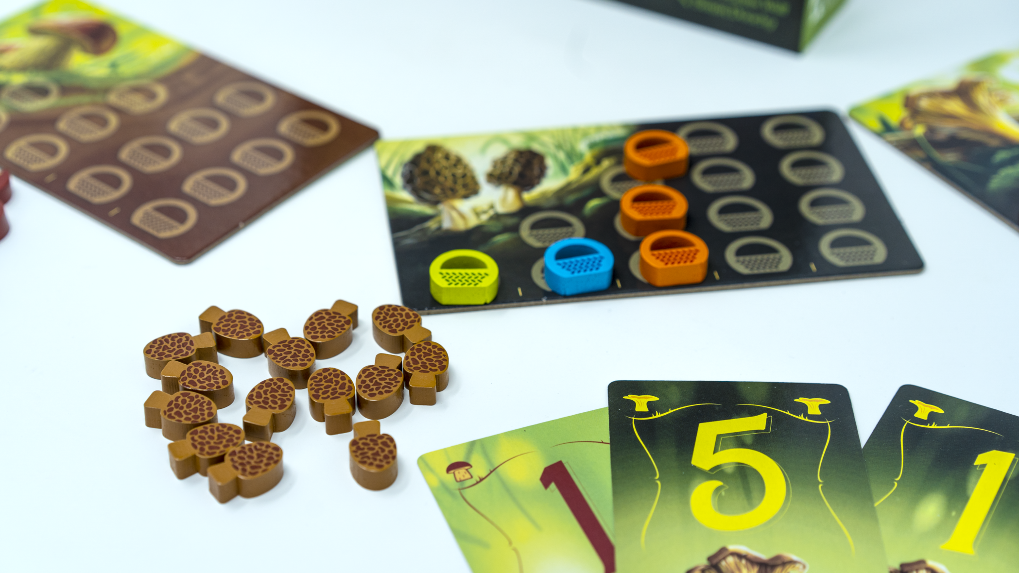 WonderWoods-Components-2