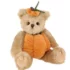 L'ours citrouille