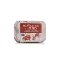 Set_de_6_bombes_a_graines_dans_leur_boite_a_uf_Le_jardin_du_Moulin_3
