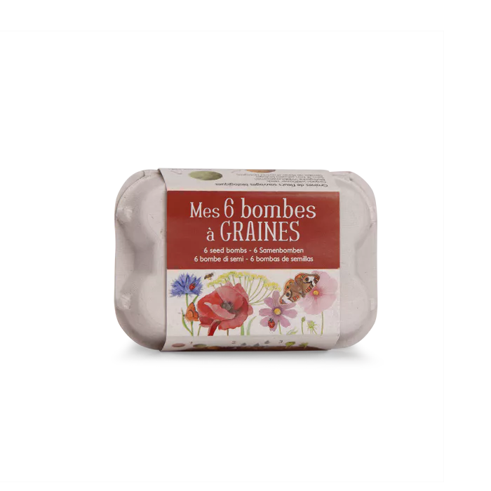 Set de 6 bombes à graines dans leur boîte à oeufs