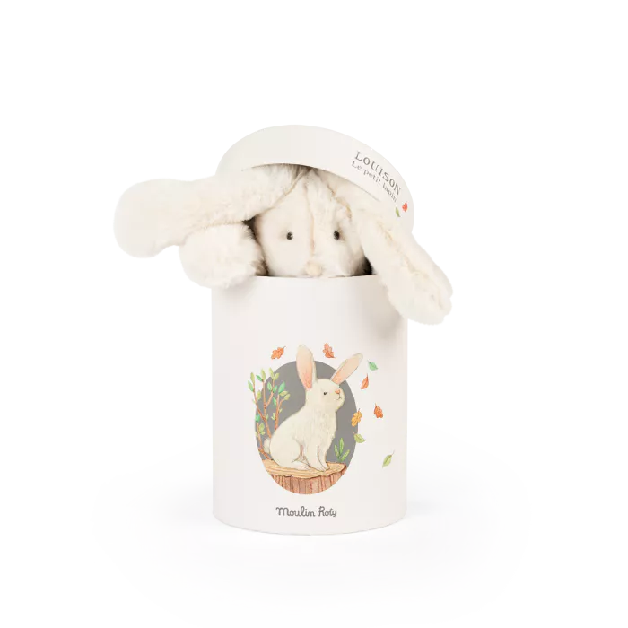 Poupee_lapin_Louison_en_boite_Arthur_et_Louison_Moulin_Roty_2