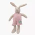 Petit lapin Sylvain - La grande famille