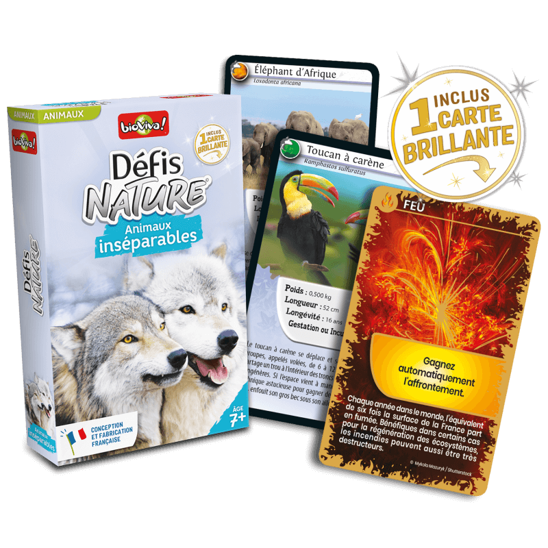 defis-nature-animaux-inseparables (1)