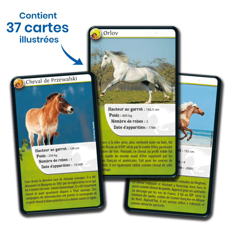 defis-nature-chevaux (3)