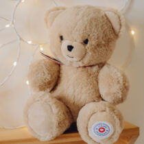 Ours en Peluche Articulé Français 25 cm – Beige