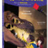 Mon roman énigme - Le musée des dinosaures