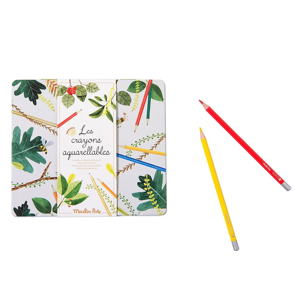 Boîte de 24 crayons aquarellables