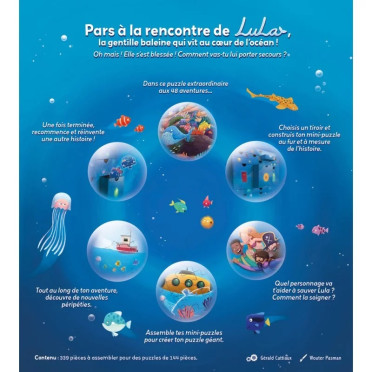 puzzle-odyssey-lula (1)