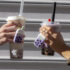 Money Walkie Bubble Tea - Porte Monnaie sans contact