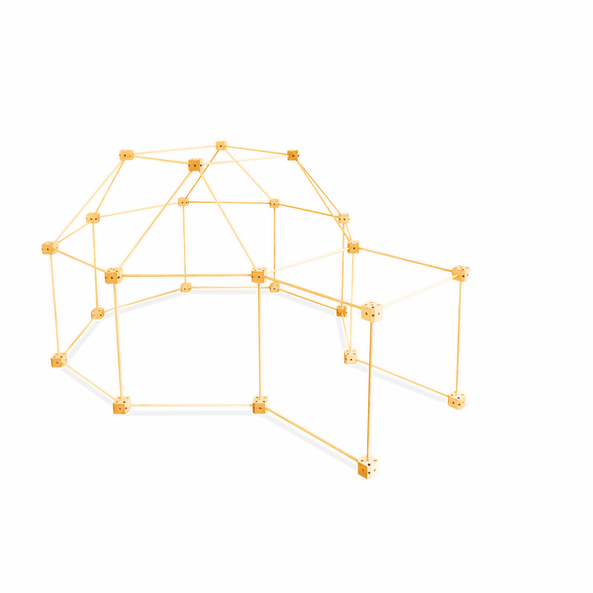 6-Structure-fond-blanc-ecureuil-scaled