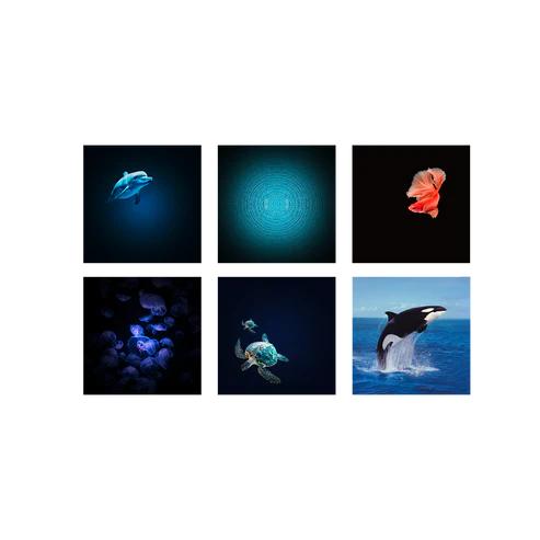 Kidystar – Projecteur d’images Océans et mers – Vert3