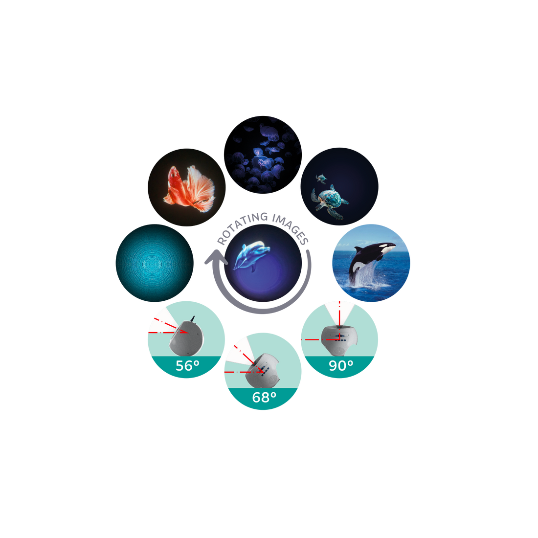 Kidystar – Projecteur d’images Océans et mers – Vert8