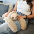 Podcoll - Peluche lestée paresseux 40 cm