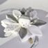 Doudou 25 Ans - Ours argent collector