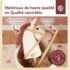 Cheval bâton à roulette
