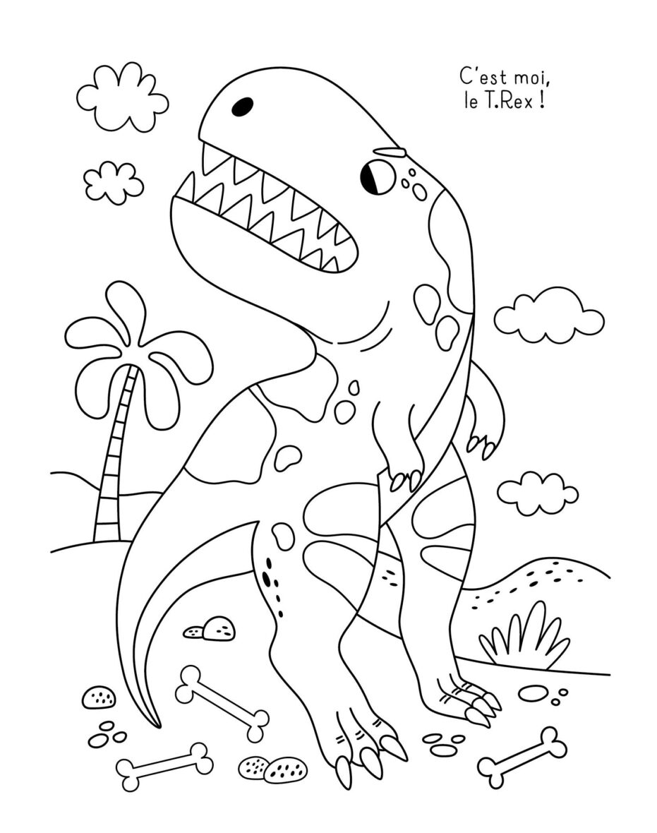 Mes super colos Dinosaures2