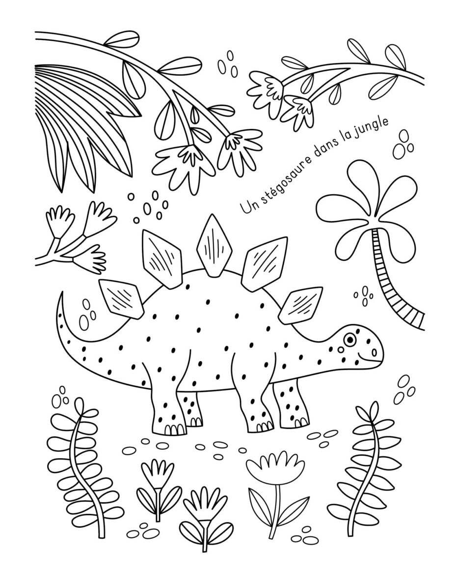 Mes super colos Dinosaures3